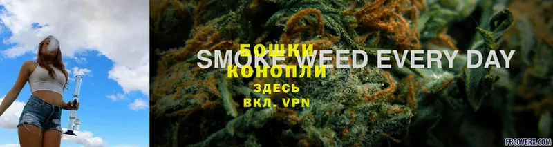 Канабис Bruce Banner  Кедровый 